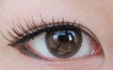 最快的瘦大腿减肥方法